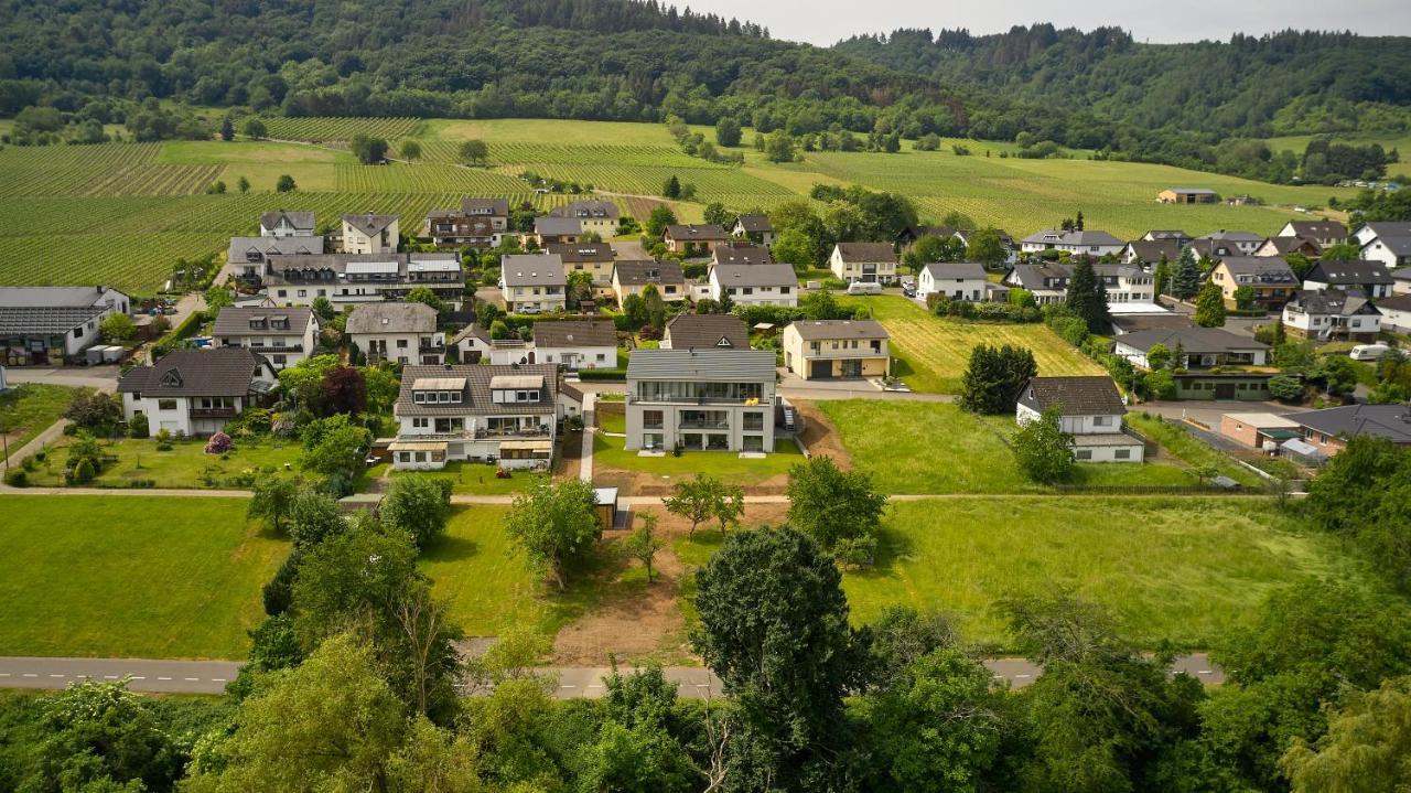 Mittelmosel Panorama Ferienwohnung Kinheim Екстериор снимка